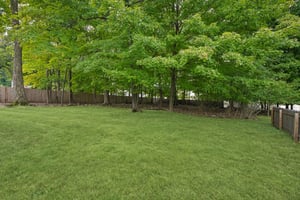 DSC00436.jpg