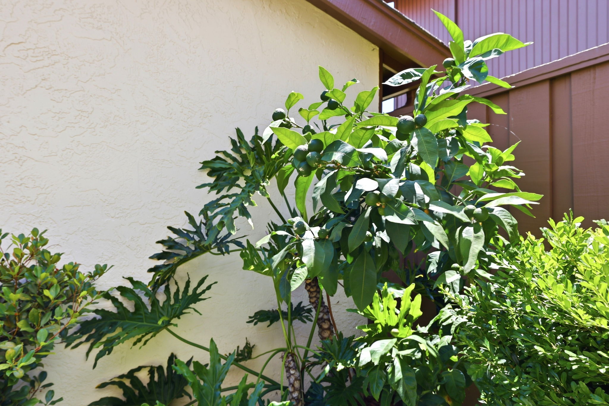  Photo 45