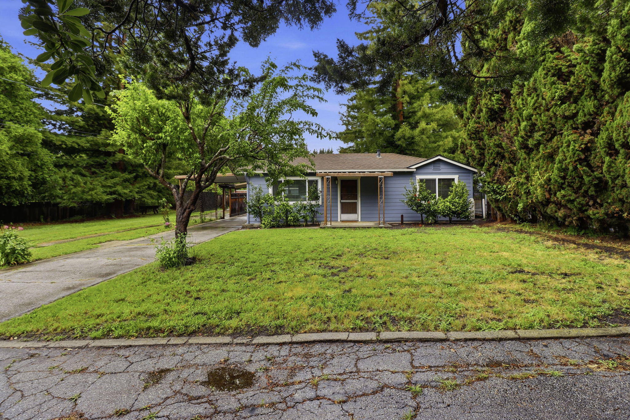 001_F8_159 Laurel Dr