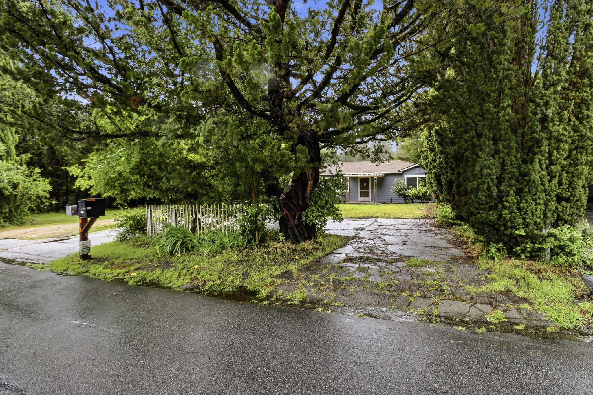 002_F8_159 Laurel Dr