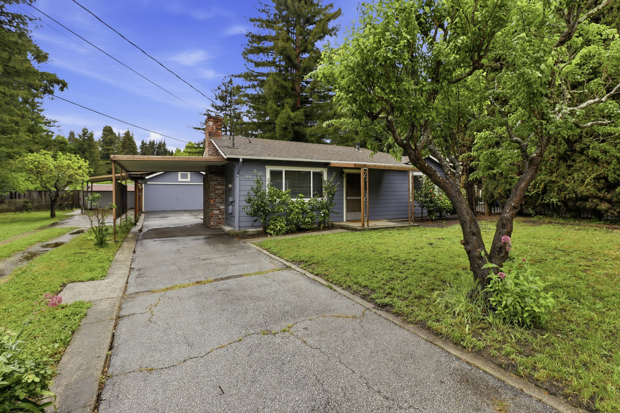 006_F8_159 Laurel Dr