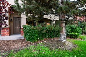  Photo 0