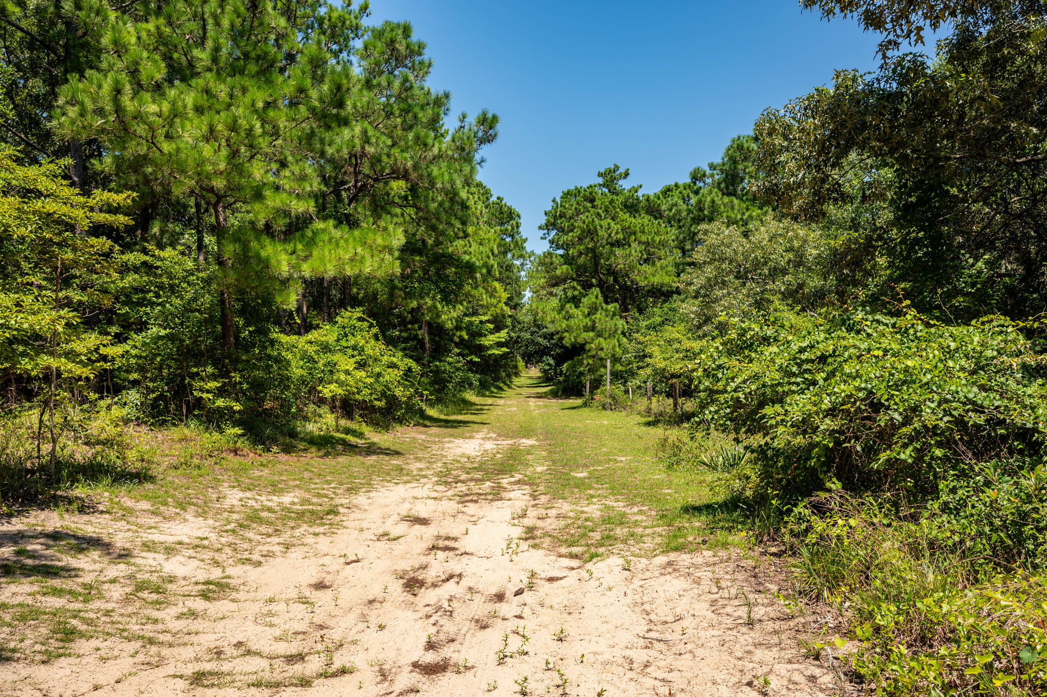 159-W-Oak-Knoll-Walking-Path
