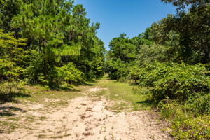 159-W-Oak-Knoll-Walking-Path