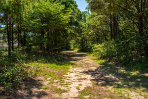 159-W-Oak-Knoll-Walking-Path-V2