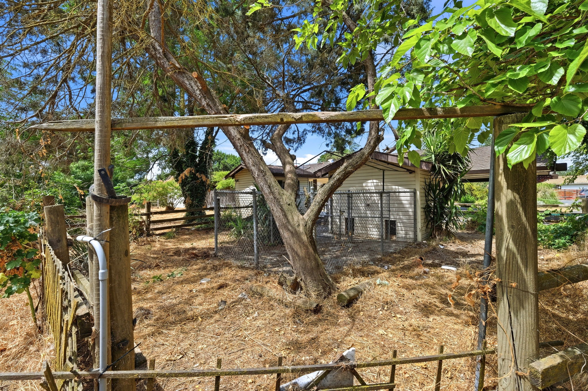 040_F8_1590 Sunset Rd