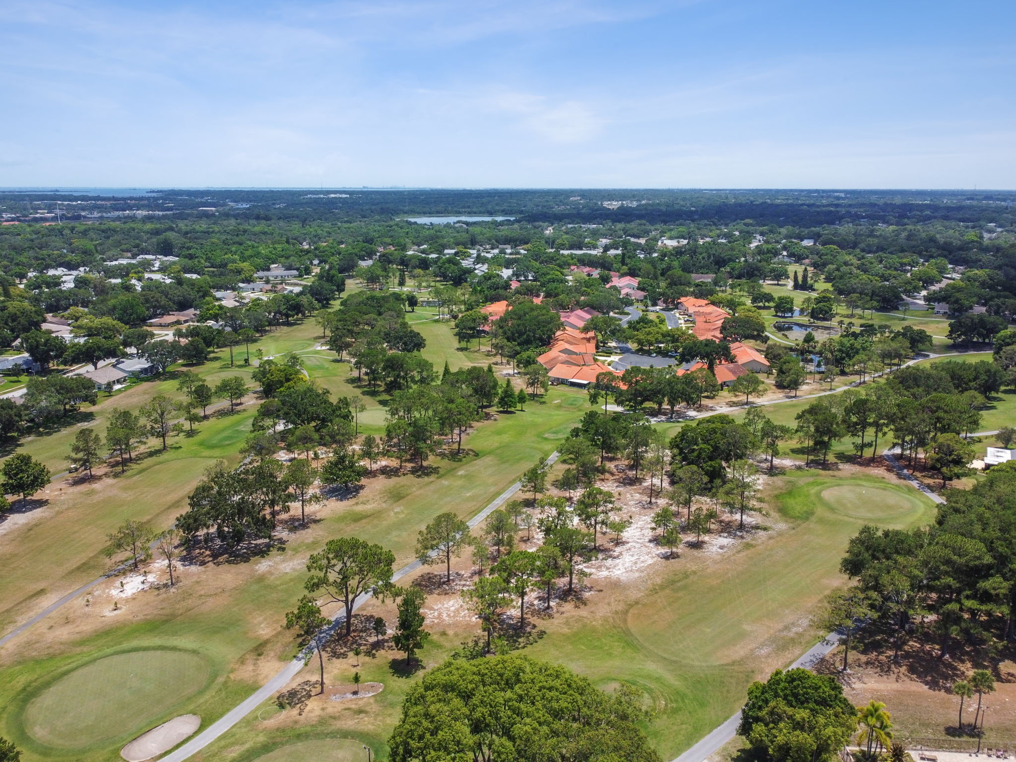 DJI_0533