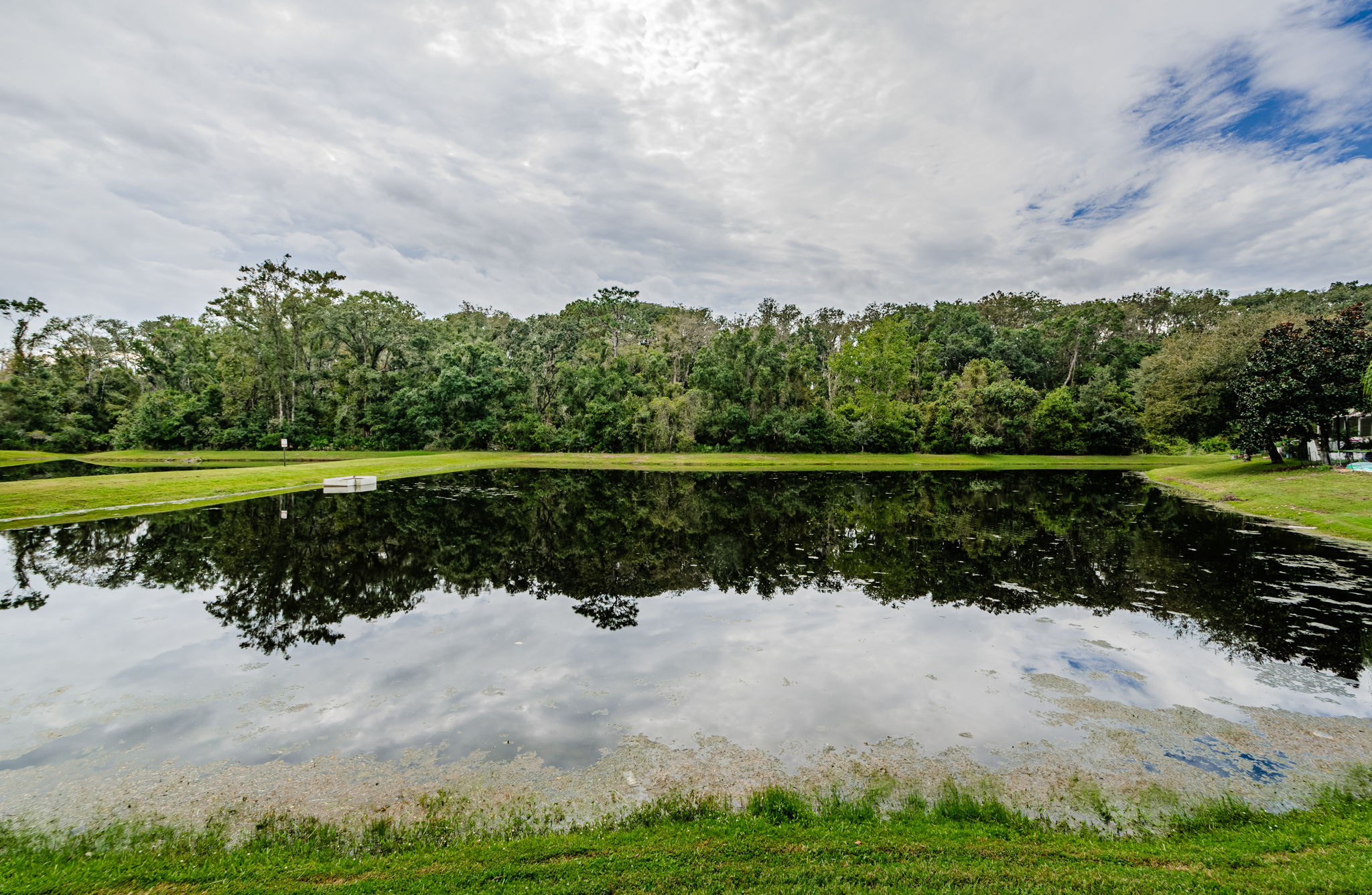 Back Lake View