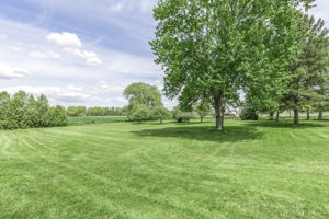 1592 15th Sideroad (41)
