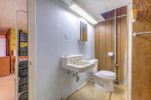 Basement Bathroom