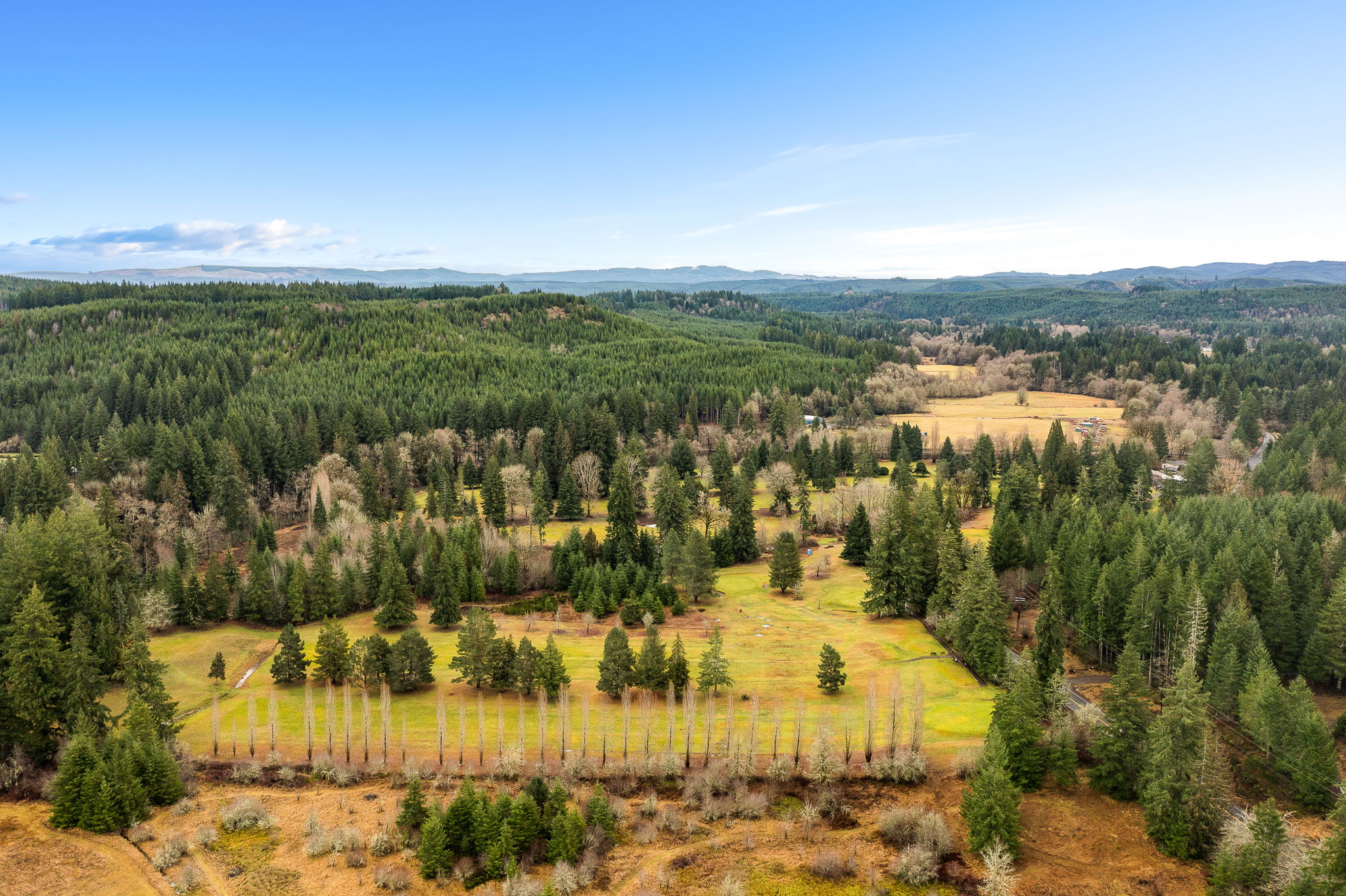 15961 Timber Rd E,, Vernonia, OR 97064 | Ruum Media