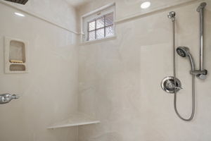 Primary Shower_1