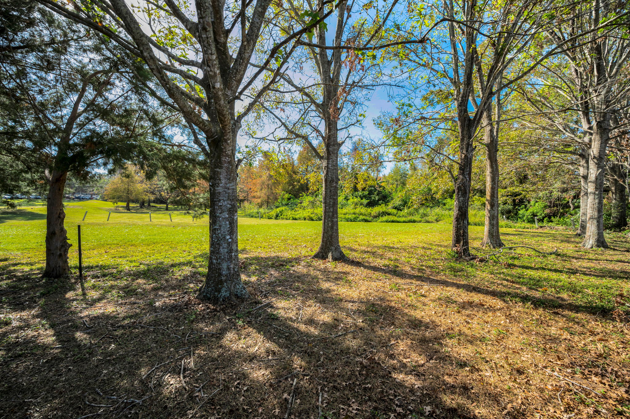 Backyard View