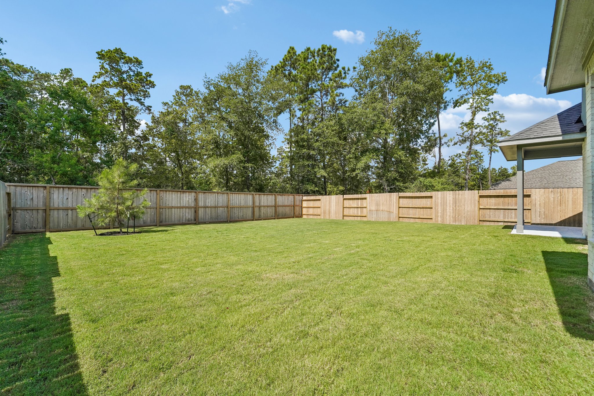 Mahogany Mist Dr-S0508-044.jpg