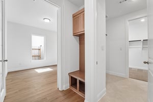 Mahogany Mist Dr-S0508-018.jpg