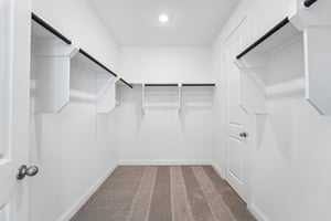 Mahogany Mist Dr-S0508-031.jpg