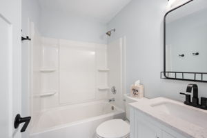  Photo 41