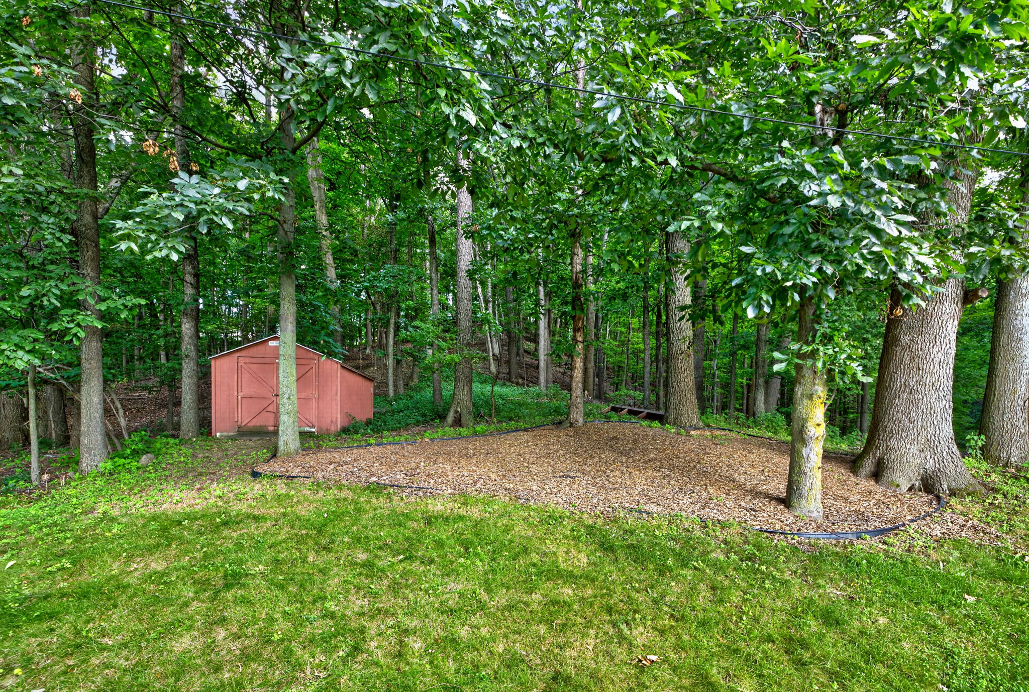  Photo 24
