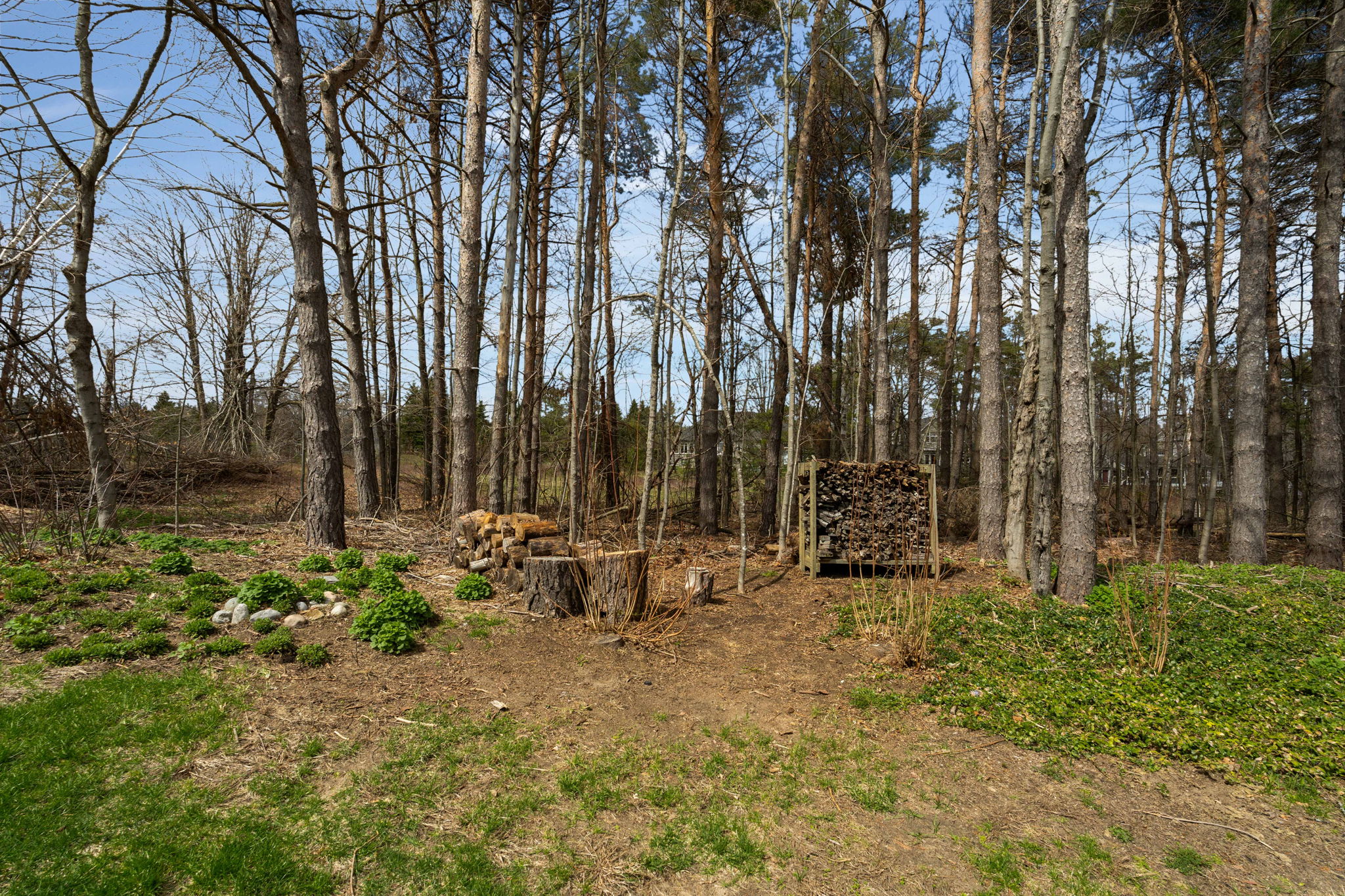  Photo 41