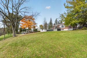 Photo 87