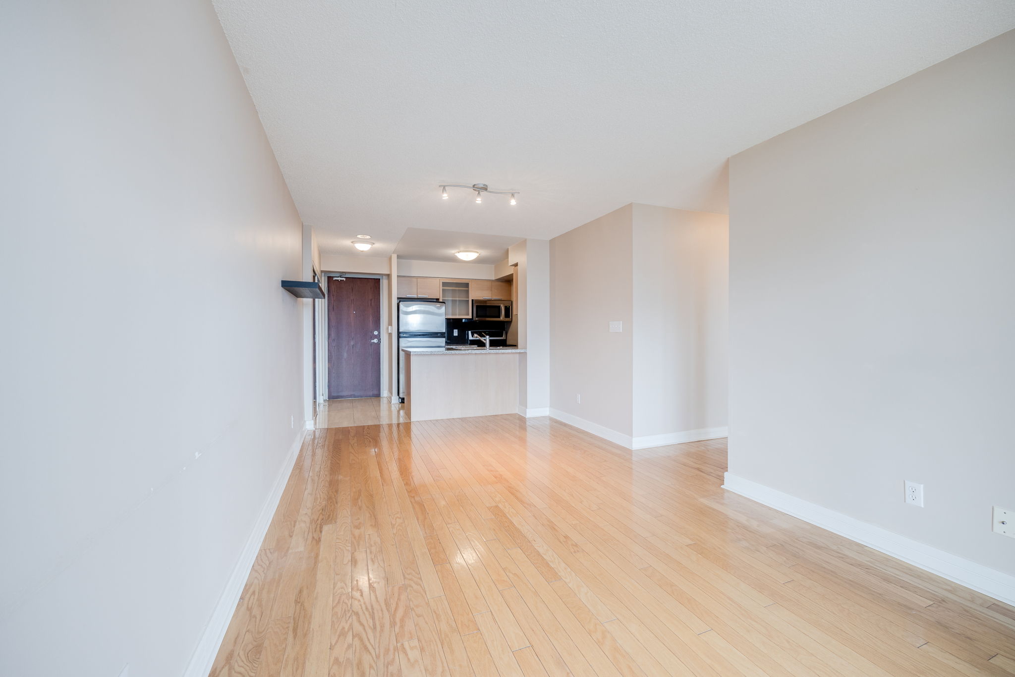 Toronto property showcase — delivered property photograph 10