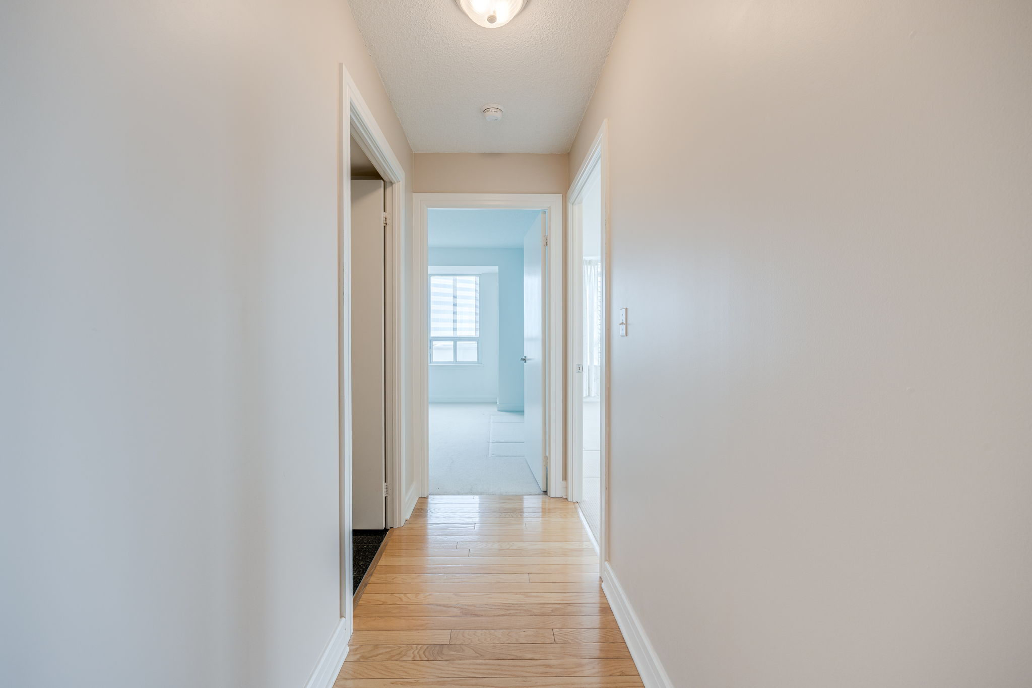 Toronto property showcase — delivered property photograph 12