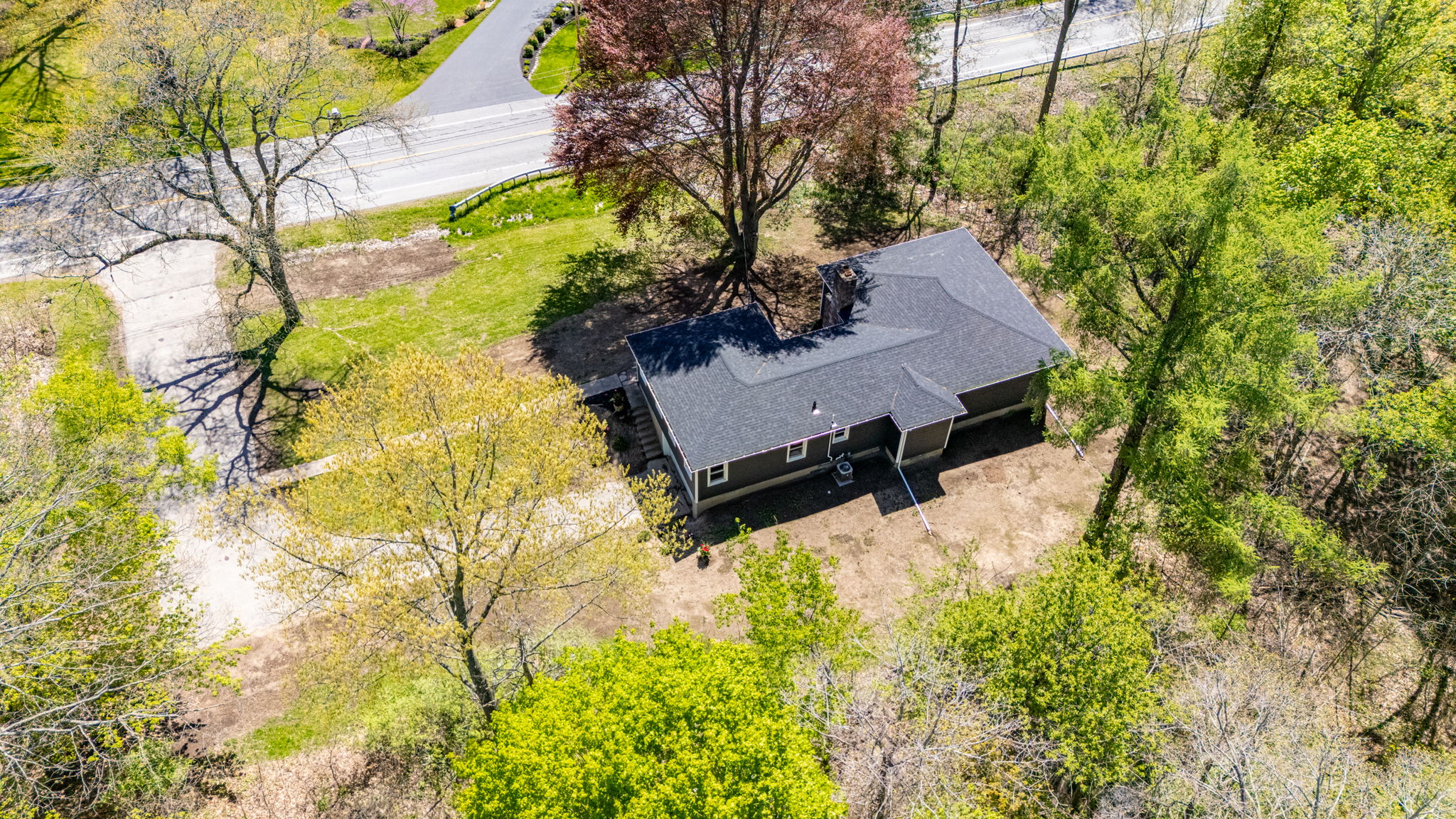  Photo 58