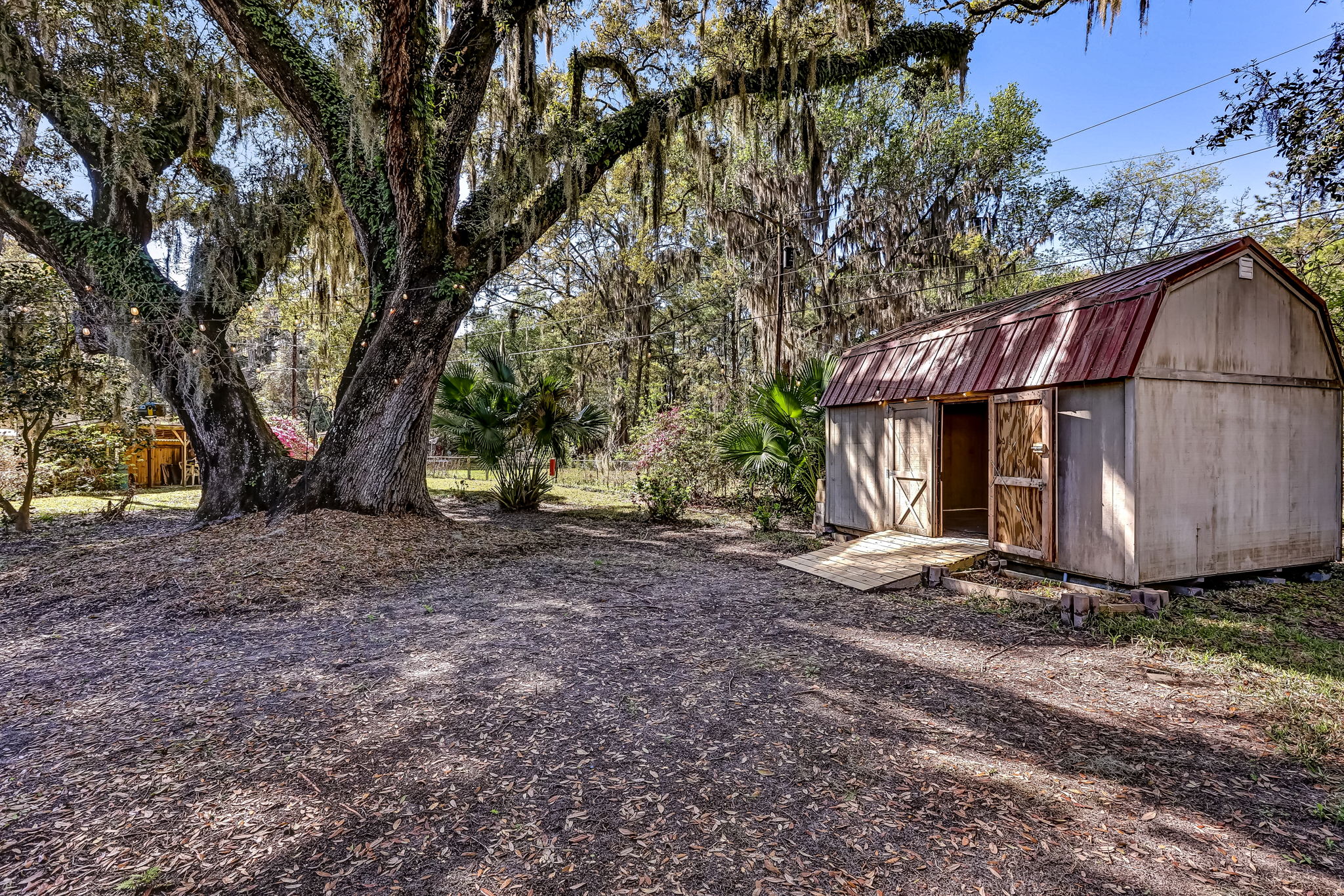 Back Yard