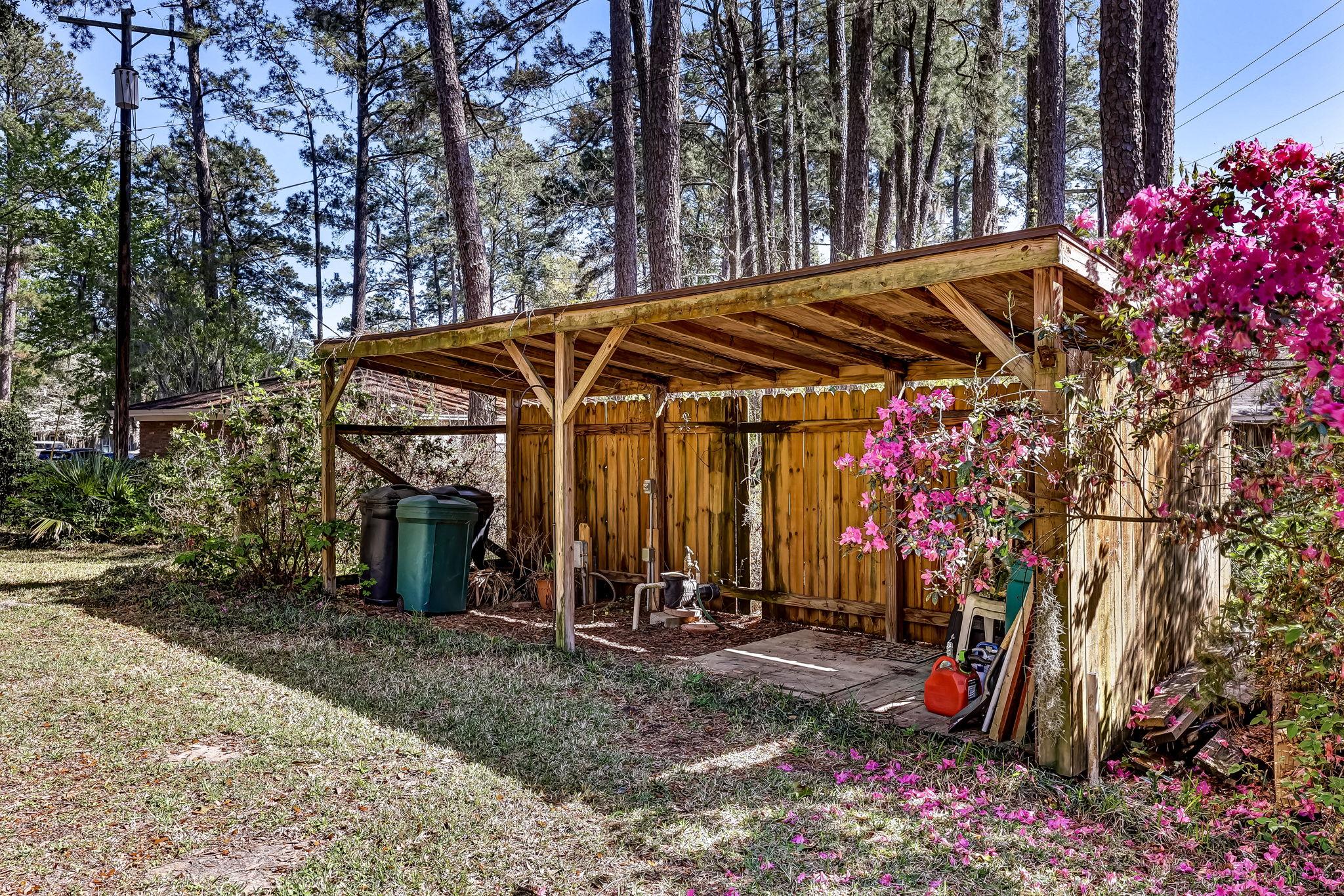 Back Yard