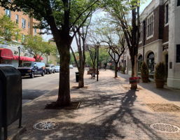 Where the espresso is strong, the vintage shops are legendary, and the skyline glows just past the treetops. Downtown Montclair is always on.