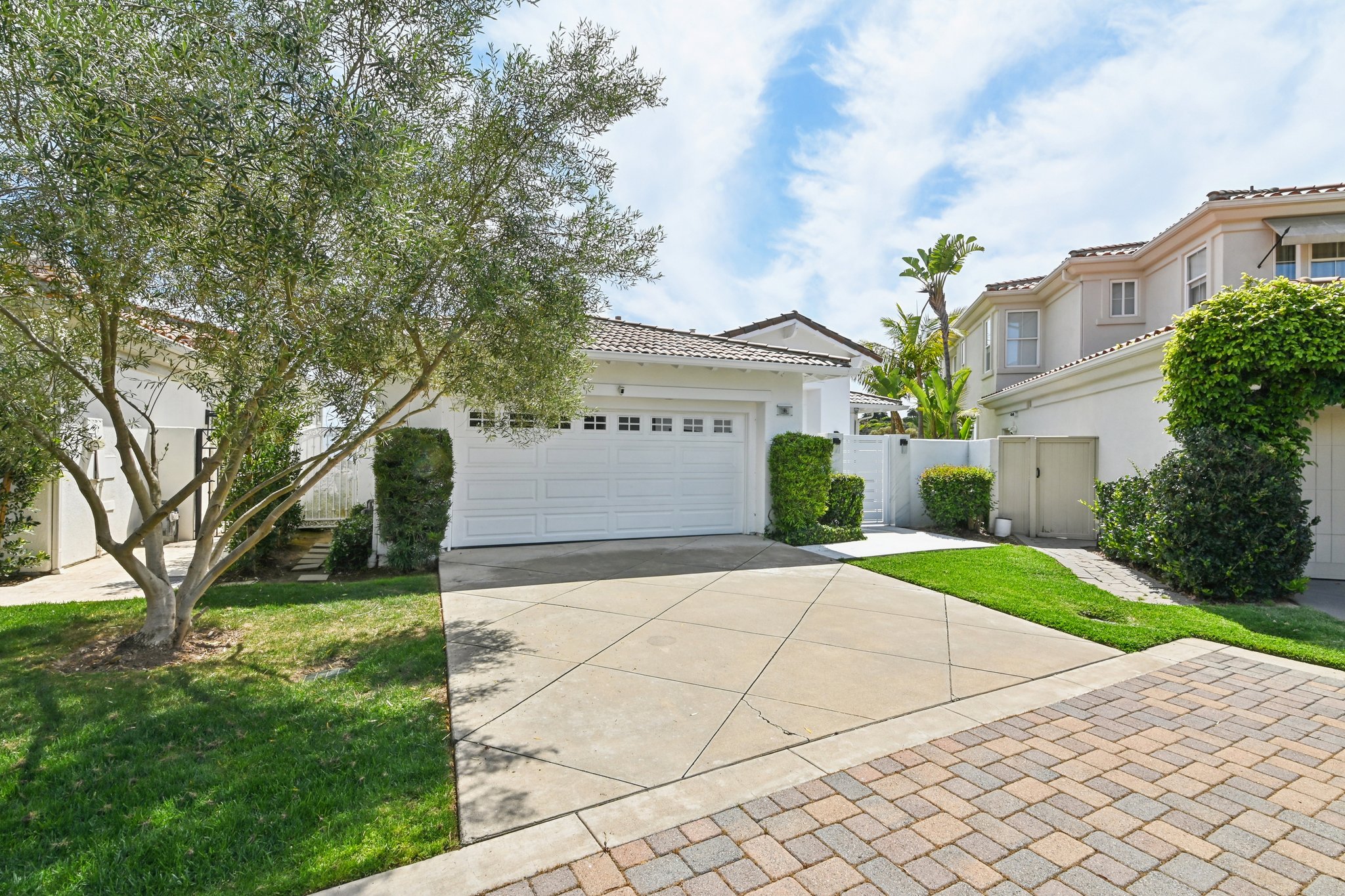 Tidal Surf-S0304-002.jpg