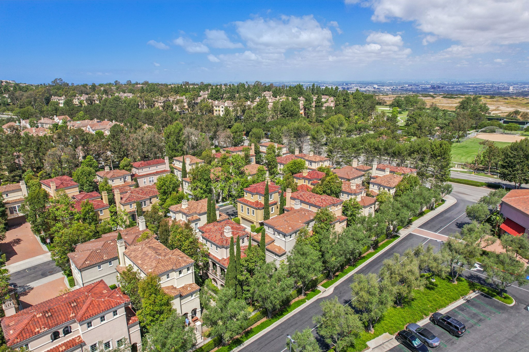 Via Amanti-S1604-050.jpg