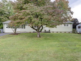  Photo 0