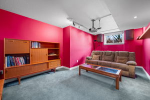  Photo 49