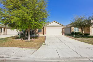 Field Ridge-S2203-001.jpg