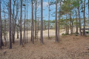 Greenview Dr-S1812-033.jpg