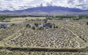 Back Aerial View of Property
