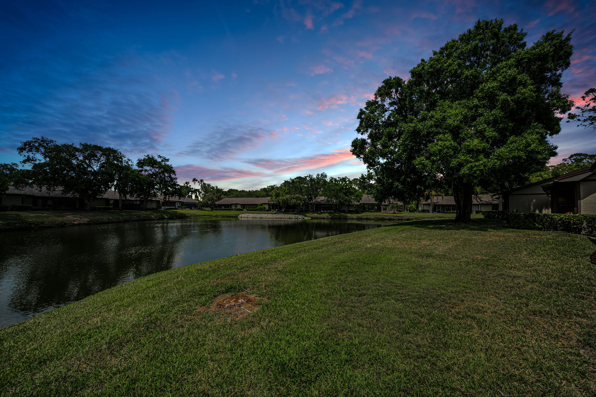 Backyard1
