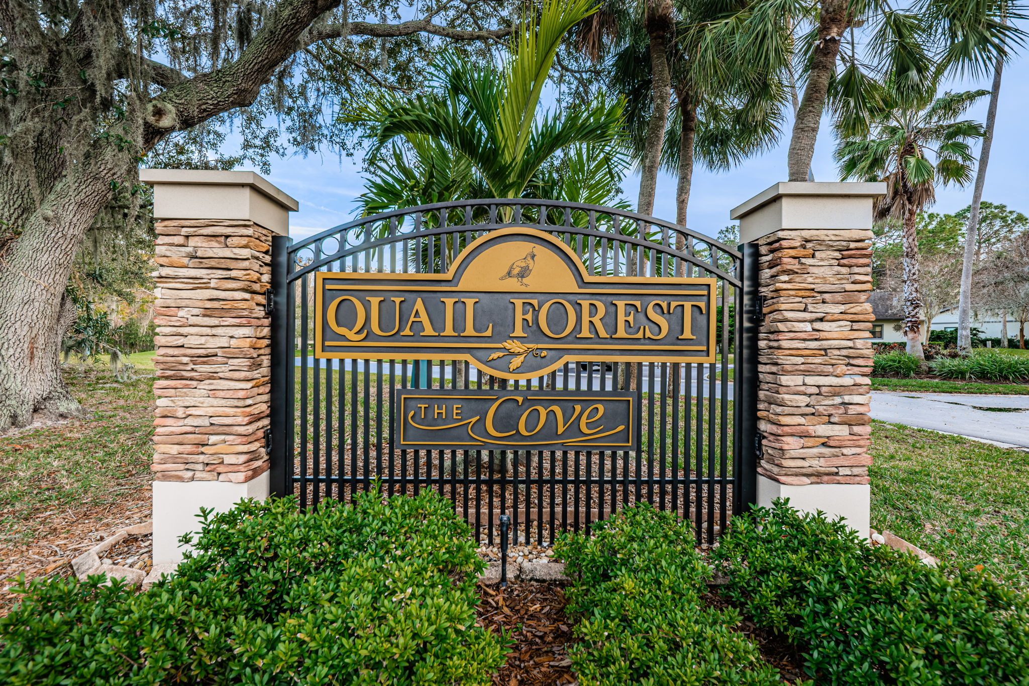 1-Quail Forest