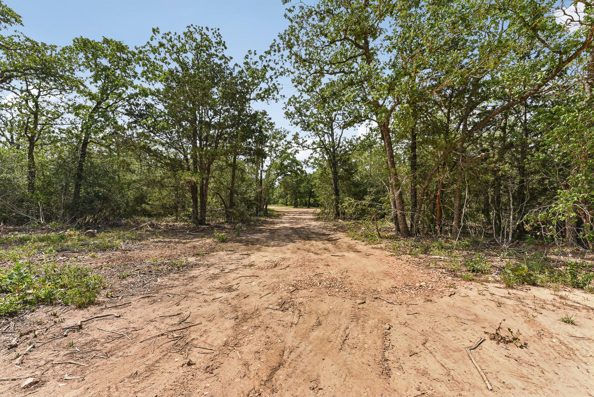 Northside Ln-2704-016.jpg