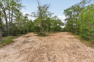 Northside Ln-2704-013.jpg