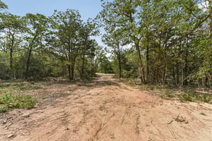 Northside Ln-2704-016.jpg