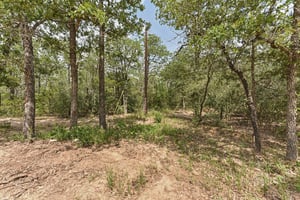 Northside Ln-2704-017.jpg