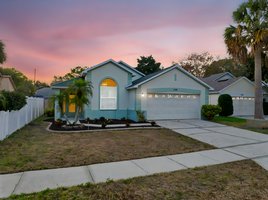 Orlando-2 day to dusk.jpeg