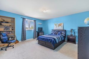  Photo 47