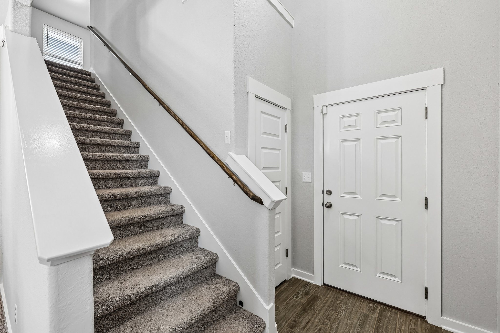 Syrah Ct-S2304-005.jpg