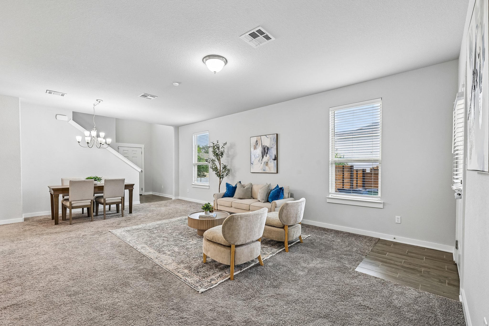 Syrah Ct-S2304-006.jpg