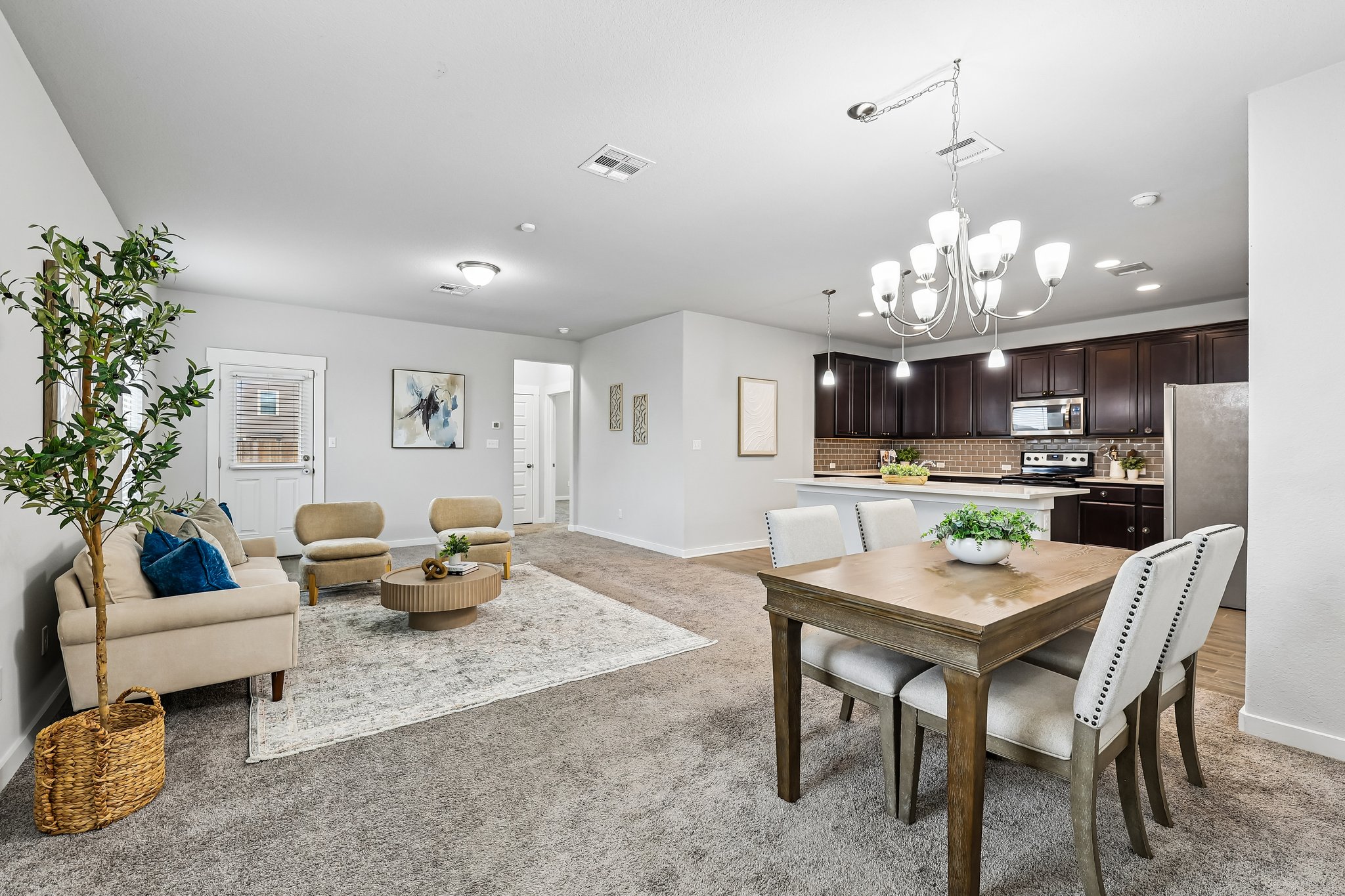 Syrah Ct-S2304-009.jpg