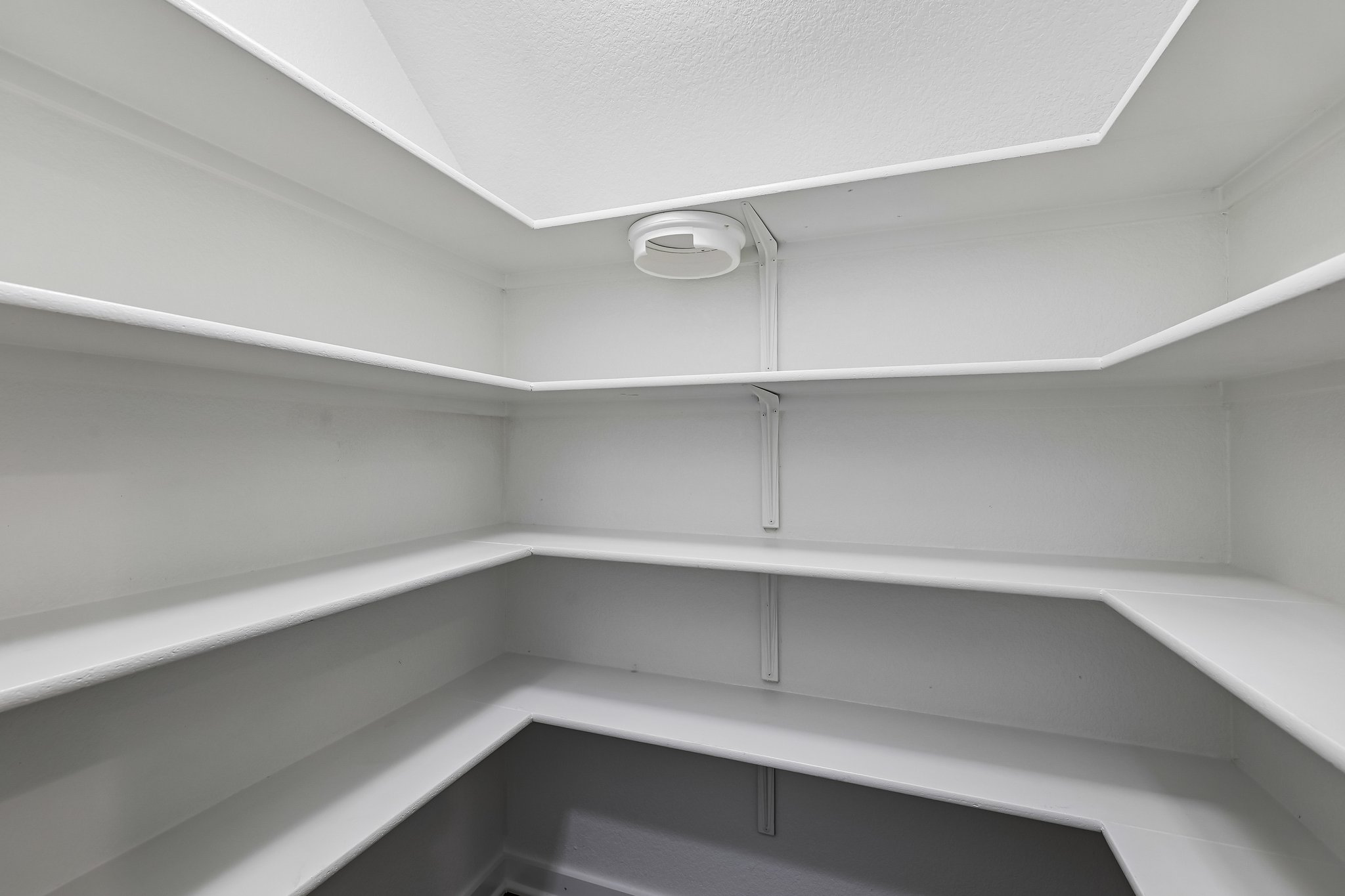 Syrah Ct-S2304-015.jpg