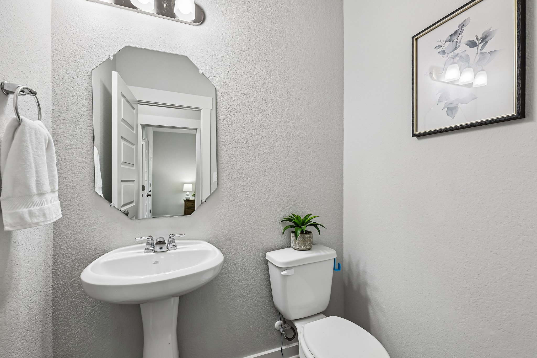 Syrah Ct-S2304-017.jpg